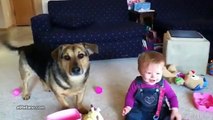 طفل يلعب مع كلب جدا لطيف ورائع