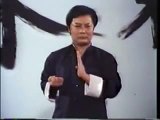 Wing Chun little idea form Siu Lim Tau