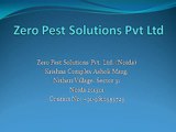 Zero Pest Solutions Pvt Ltd (2)