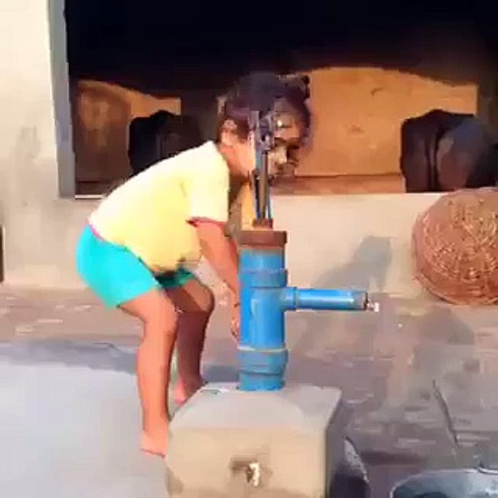 Nalka Paani Vala