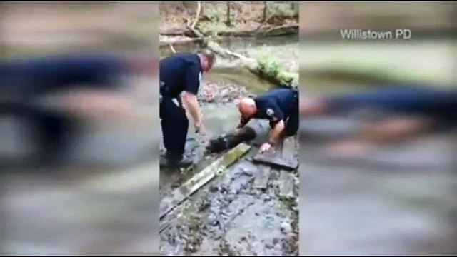 Des policiers sauvent un chien coincé dans la boue