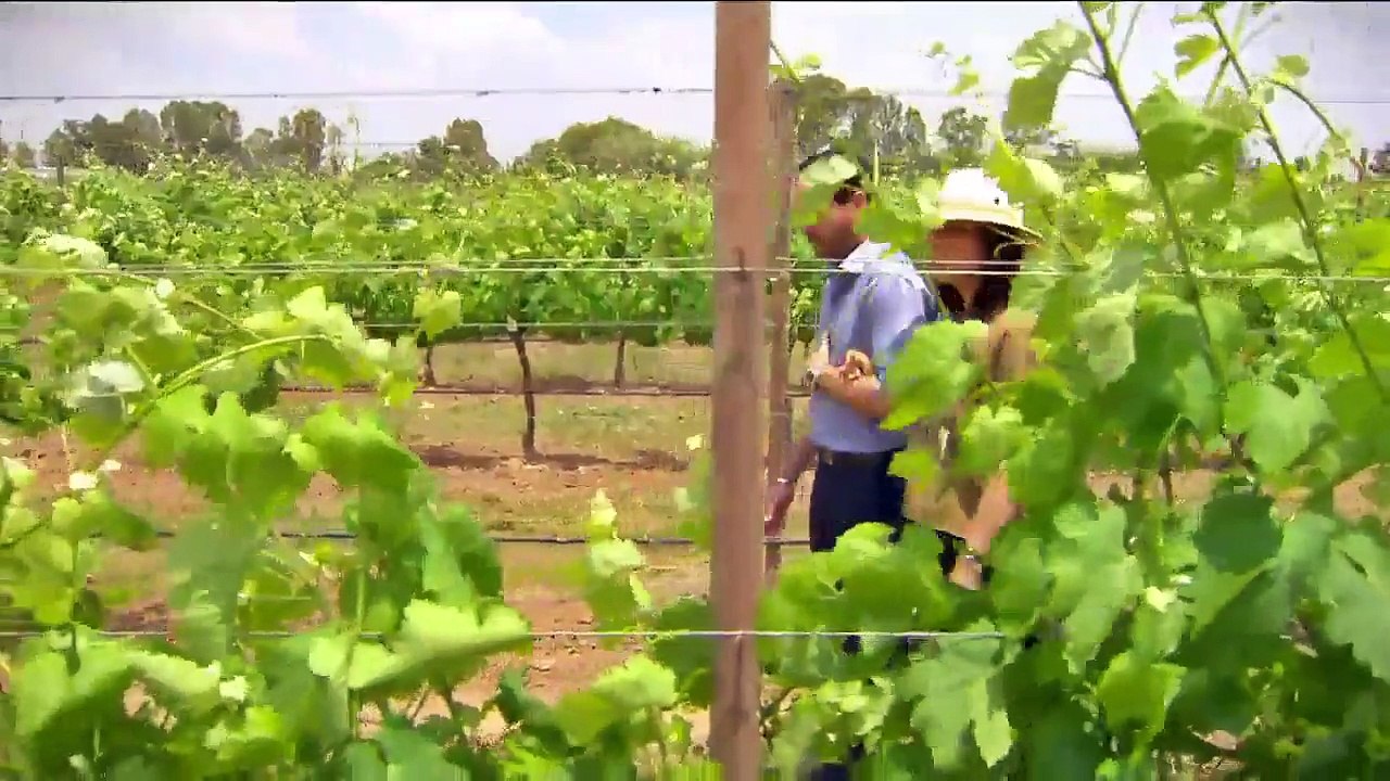 CDG - Capítulo 44 | Rosaura se presenta ante Alba y Pascual