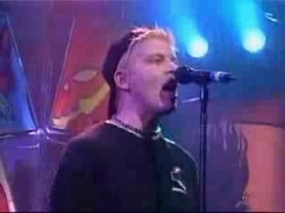 Dammit, I changed again - The Offspring