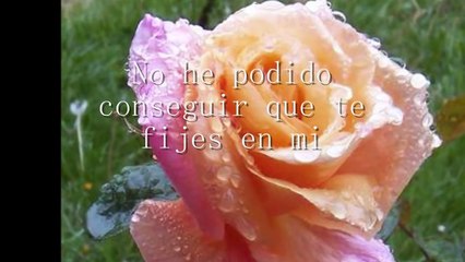 Santo y Jhonny - y la amo (instrumentales de oro)