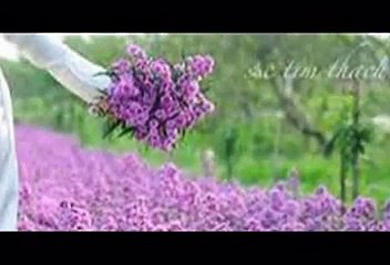 Tôi Thương Mà Em Đâu Hay by Trầm Thiên Thu