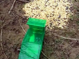 Fatty Leland's  big event