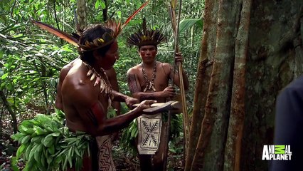 Has the Mapinguari Mystery Been Solved? | Finding Bigfoot