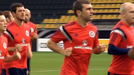 Transferts - Cabaye à Crystal Palace