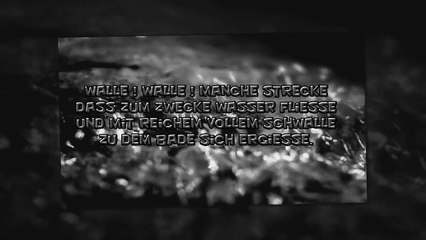 Junge Dichter & Denker - Der Zauberlehrling [Zedd's edit]