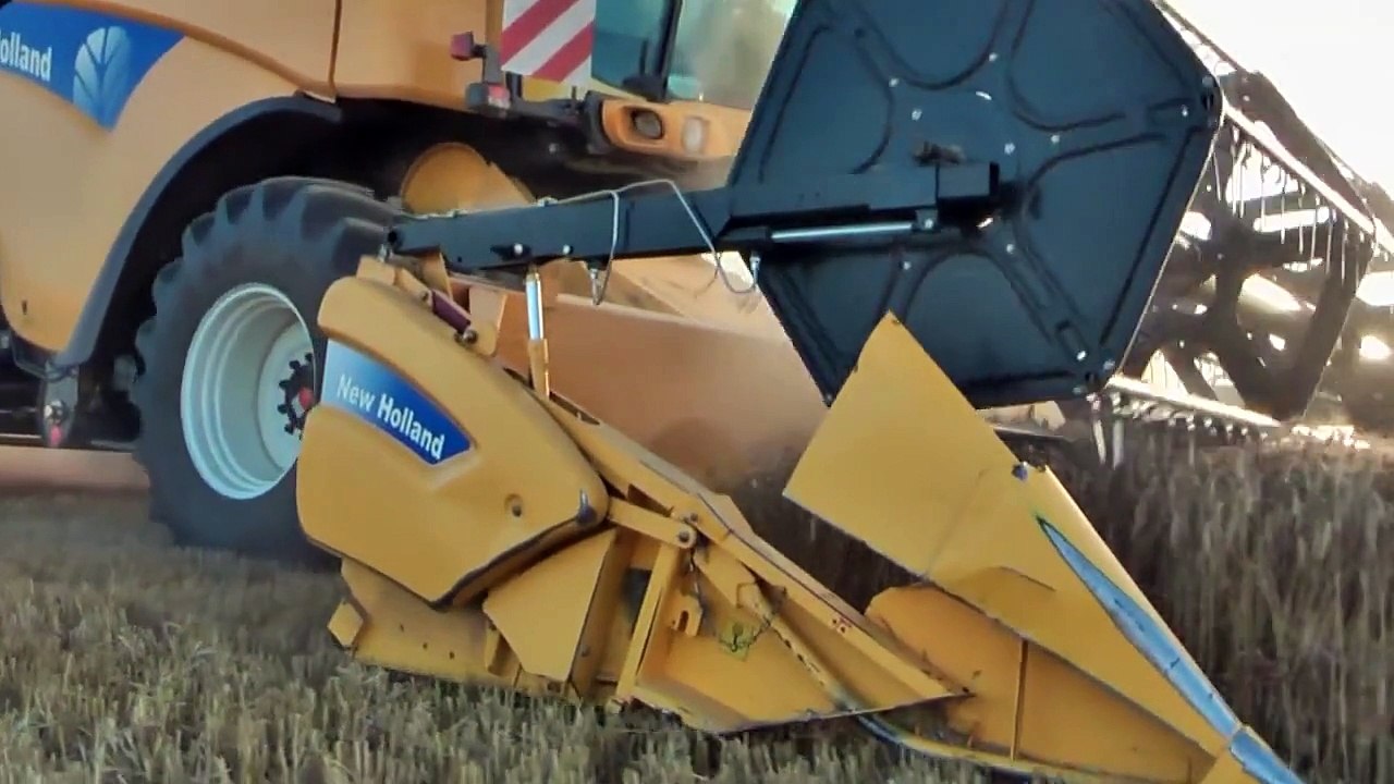 Moisson du blé avec une New Holland CX8040 - wheat harvest