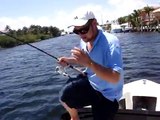 Barracuda fishing with tube lure