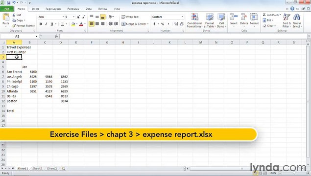 MS Excell Entering data in a worksheet