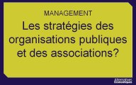 Term Mana chap 7 les stratégies des organisations publiques et des associations -extrait