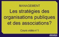 Term Mana chap 7 les stratégies des organisations publiques et des associations