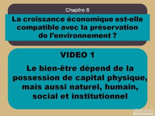 Term chap 5 Le bien-être dépend de la possession de capital physique, mais aussi naturel, humain, social et institutionnel (1)