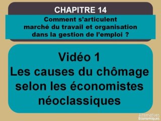 Term chap 11 Les causes du chômage selon les économistes néoclassiques (1)