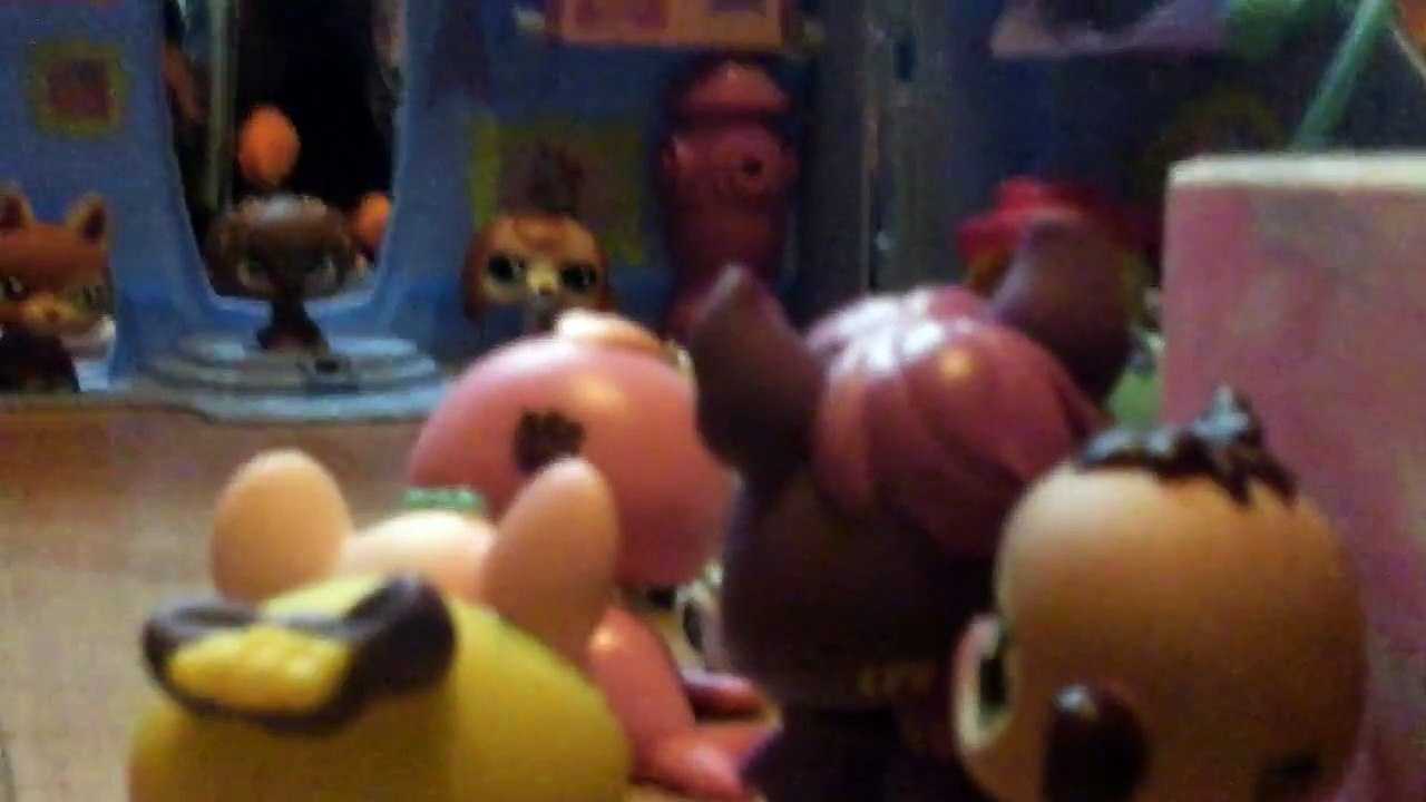 Funny dog video XD Lps Tunami