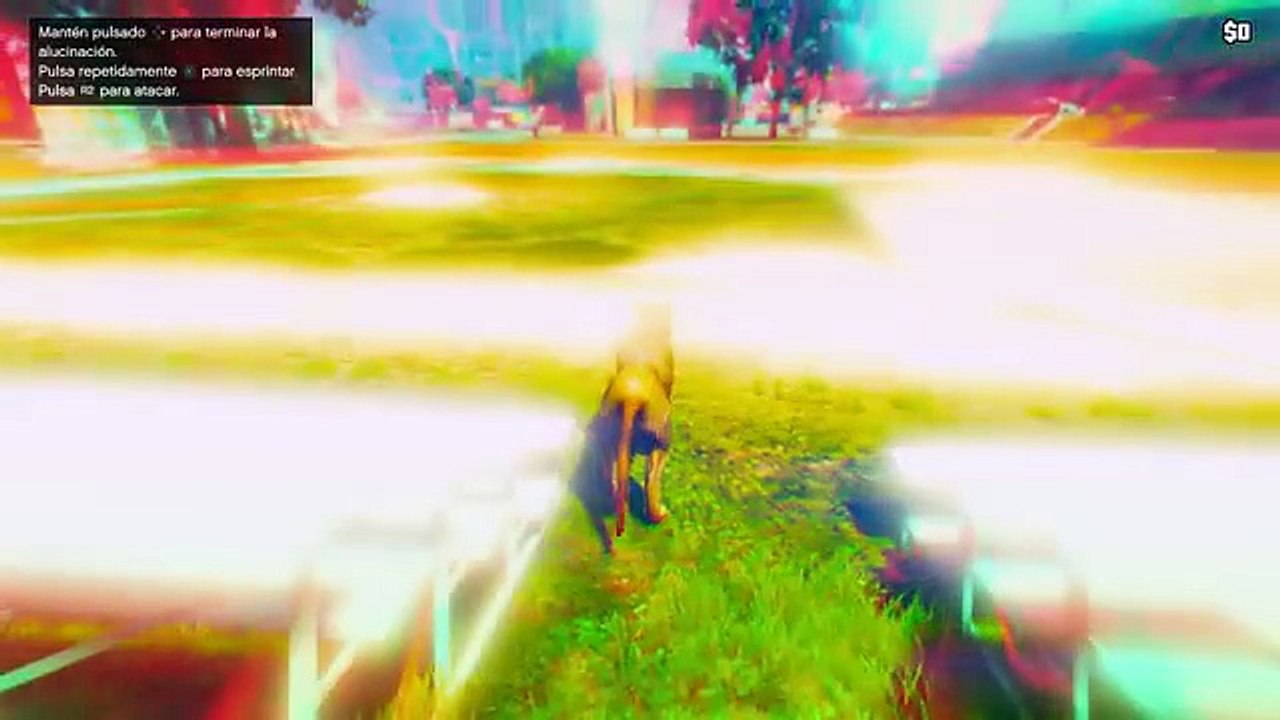 GTA V EASTER EGG - SER UN LEON PUMA TIGRE LOBO PERRO... ETC - Localizacion peyote - Makiman