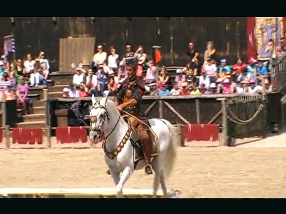 zoo d'amneville  spectacle de rapaces en vol libre