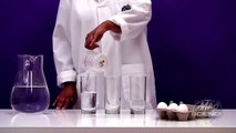 Home Science Experiments For Kids: Science Experiments Make an Egg Float in Salt Water