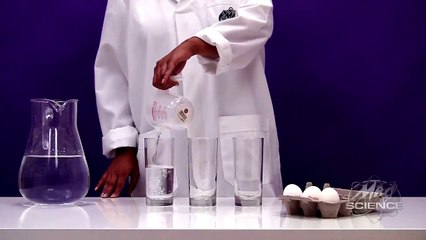 Home Science Experiments For Kids: Science Experiments Make an Egg Float in Salt Water