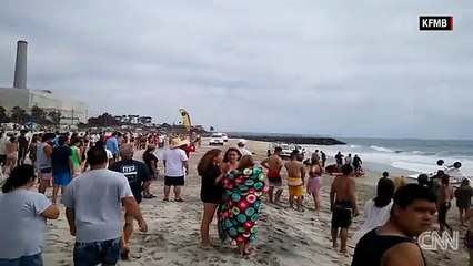 سقوط طائرة على شاطئ كاليفورنيا المكتض