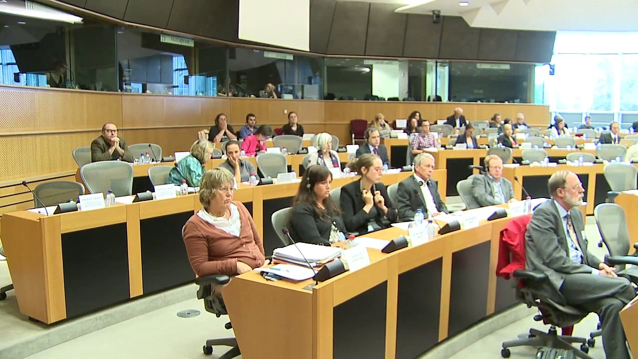 Towards a more democratic European Union