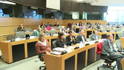 Towards a more democratic European Union