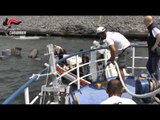 Napoli - Carabinieri NAS. Allevamento abusivo di mitili nel golfo di Napoli (10.07.15)