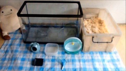 ハムスターの飼い方　～準備編～