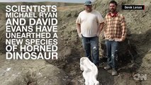 New horned dinosaur species discovered