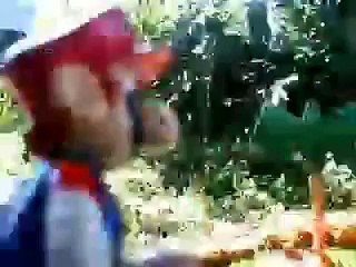 Mario & Luigi - Go To Disneyland