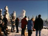 Nationalpark Bayrischer Wald - Winter