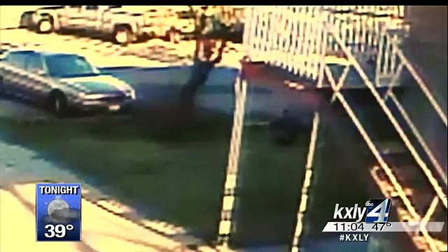 pit bull attack 5 people, the unstopable nanny dog