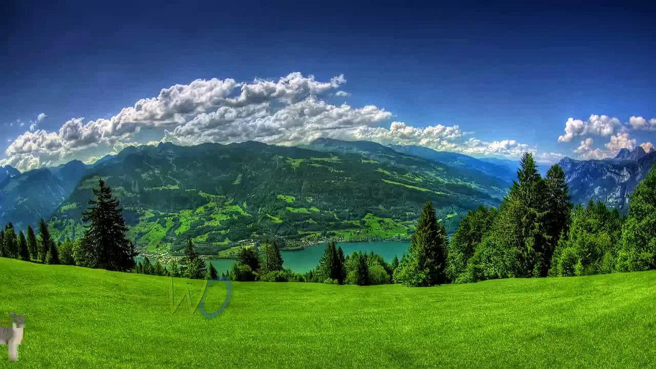 Finger Family Animals Nursery Rhymes For Children | 3D Animals Collection Rhymes For Kids