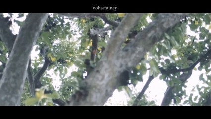 EXO - Kai & D.O. / Kaisoo | Save And Sound (Fan Made)