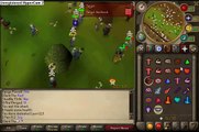 I_Dont_Ftw's PKing Vid 2 - AGS, DH, Whip PKing - New BH and PvP (PT 1)