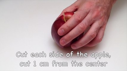 Learn how to create a tree using only an apple