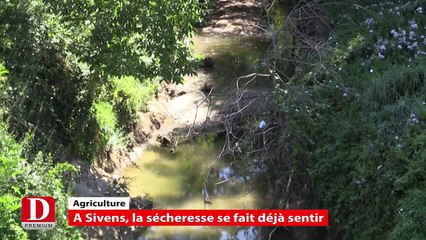 Flash Info - vendredi 10 juillet 2015