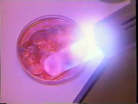 Metamorphosis - The Alien Factor (1990) Trailer (VHS Capture)