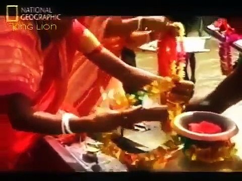 Animals Documentaries - Wildlife Animal Documentary - Tigers Revenge National Geographic