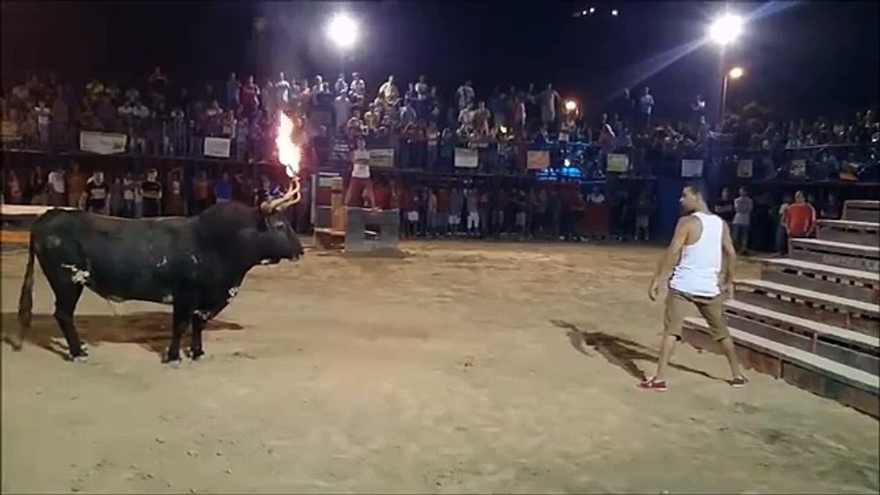 Por dárselas de macho mira lo que le pasó al querer enfrentar un toro