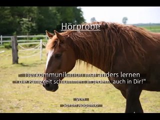 Tierkommunikation Hörbuch - Tierkommunikation mal anders lernen - Hörprobe