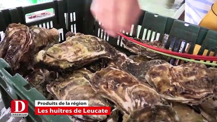 Flash Info - dimanche 12 juillet 2015