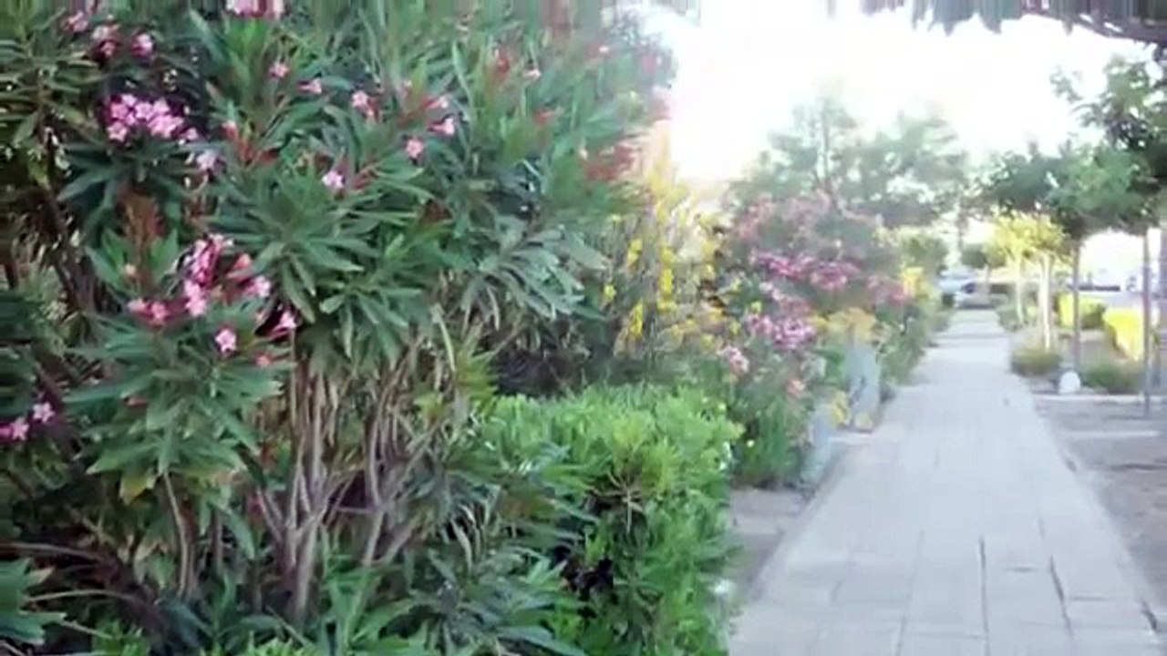 VILLAGE NATURISTE APHRODITE à Port-Leucate, Languedoc Roussillon, France