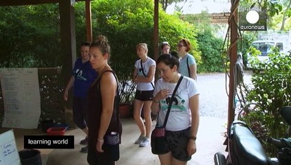 Vacaciones extraordinarias: cuidar elefantes, lanzar cohetes ... todo fuera de norma