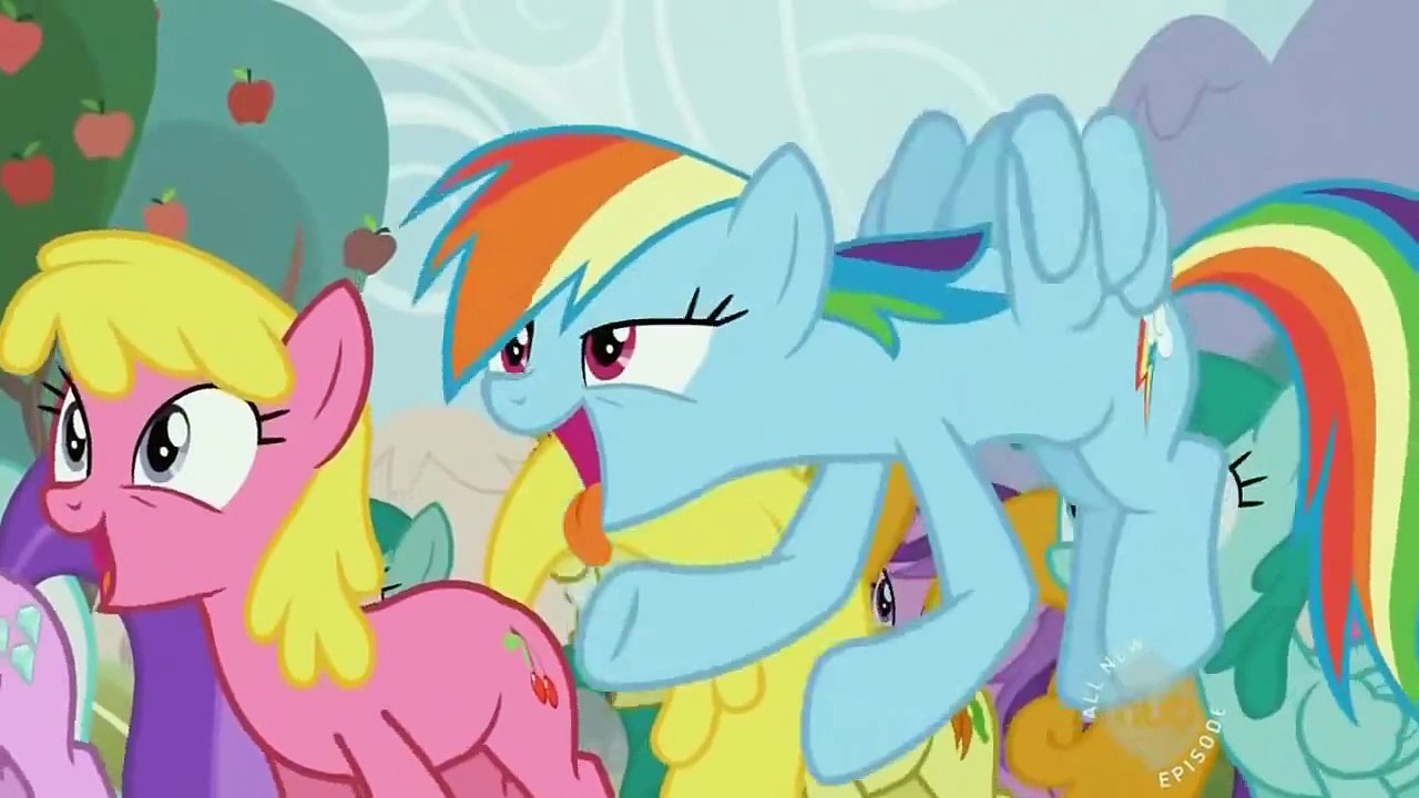 Rainbow Dash REALLY loves apple cider ಠ_ಠ
