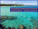 Snorkeling Big Island Hawaii - Tons of Fish, Coral, Turtles, Octopus