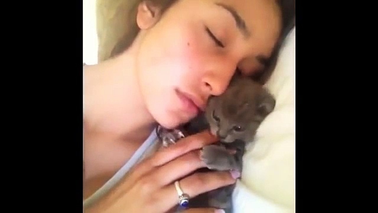 FUNNY VIDEOS_ Funny Cats - Funny Animals - Funny Moments - Funny Cat Vines-copypasteads.com