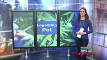 Fort Wayne reacts to marijuana legalization in Colorado